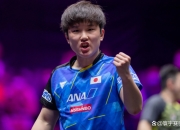 开云体育中国-瑞典队力克中国队，张本智和高光表现的简单介绍