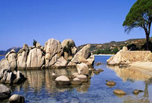 开云官网-奥地利队力克英格兰队，许昕扛起全队