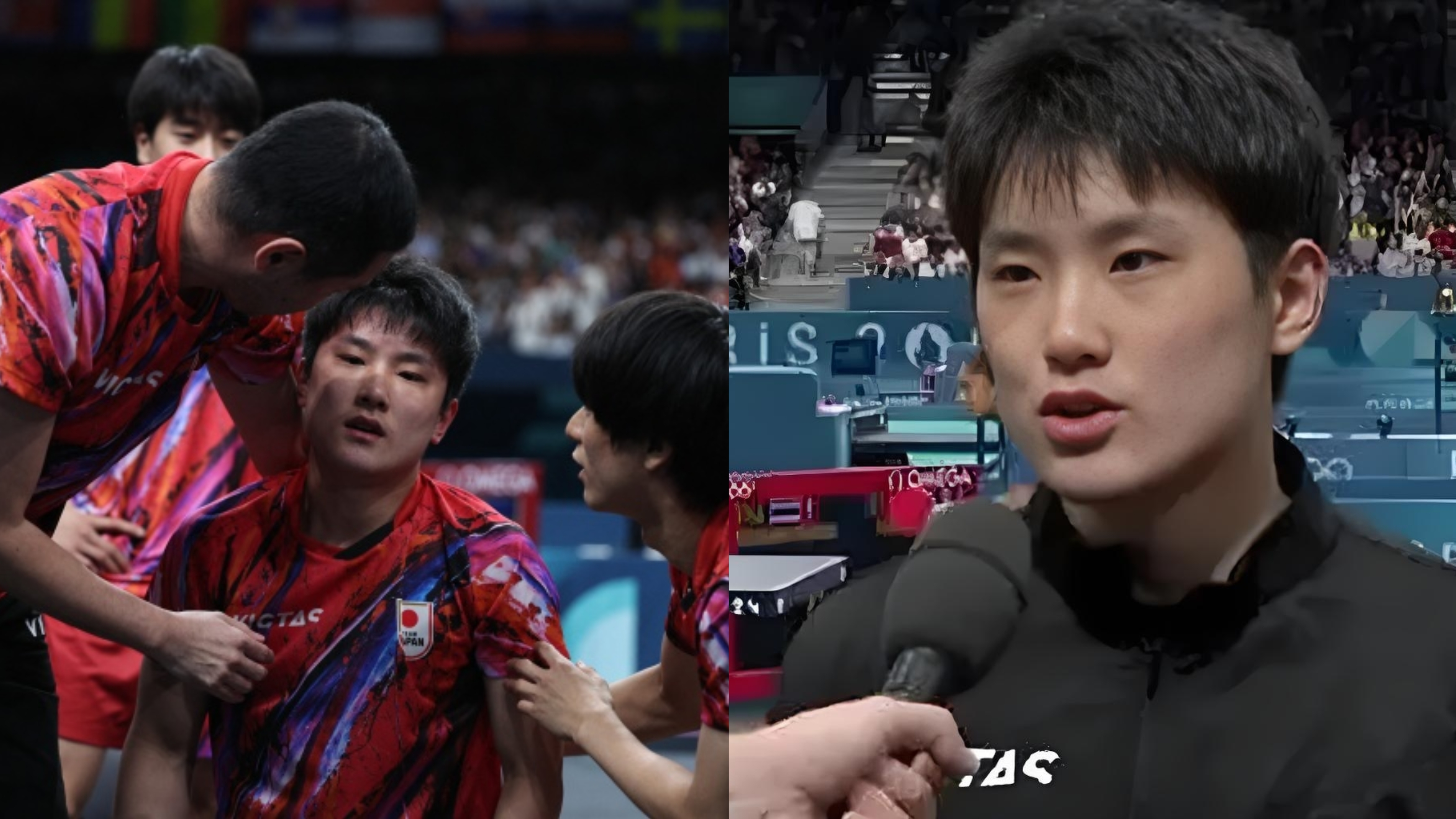 包含日本队轻取法国队，张本智和状态火热的词条