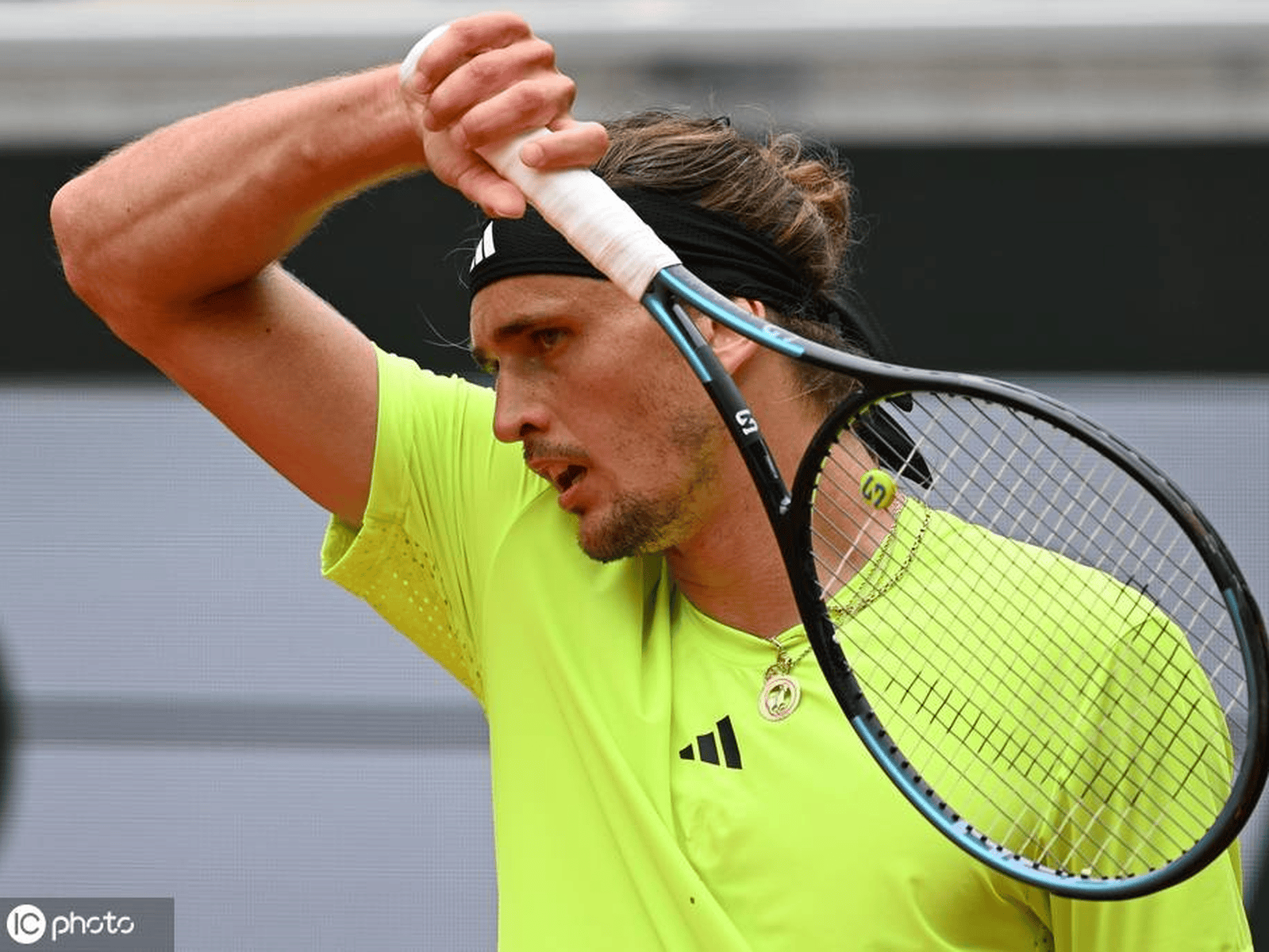 包含法网险胜戴维斯杯，兹维列夫状态火热的词条